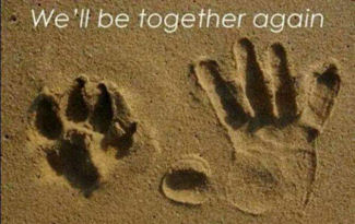 We'll be together again...