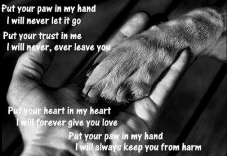Put your paw in my hand..