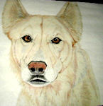  Guardian Wolf Fred