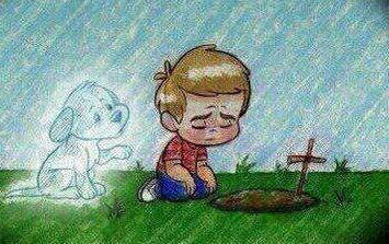 Passing...