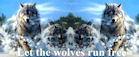 Let the Wolves Run Free